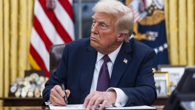 Las exportaciones a EE.UU. caen un 66% a la espera de las consecuencias de la nueva 'era Trump'