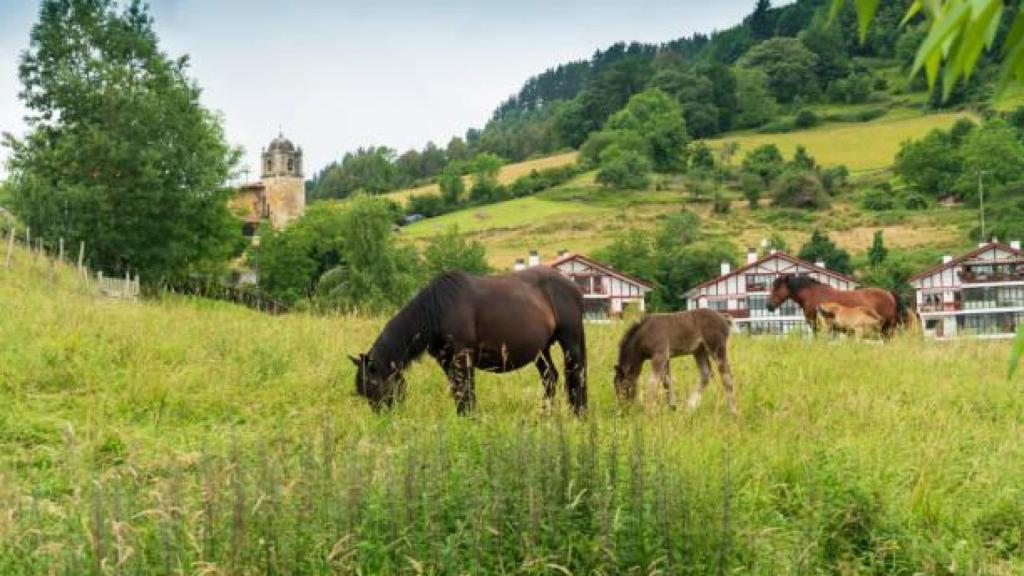 Caballos en el pueblo de Garai.