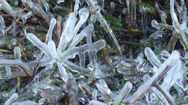 ¿Qué tiempo hará este miércoles en Euskadi?: heladas y bajas temperaturas