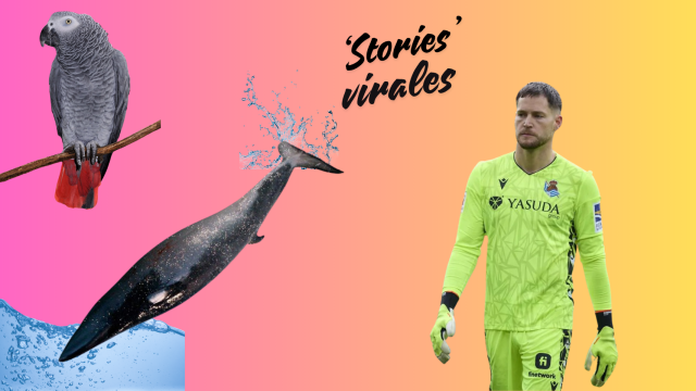 Del regreso del loro Berritxu al espectacular mensaje de Remiro al fútbol: los 'highlights' de la semana