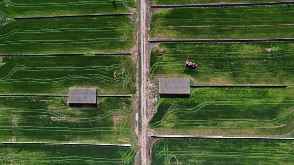 Más de un 40% de las explotaciones agrarias a las puertas de la jubilación no tiene relevo