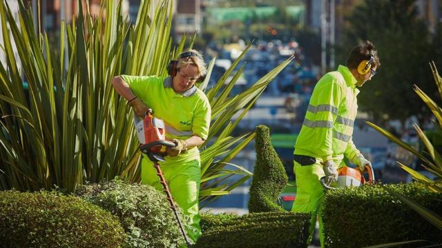 Jardineros de Enviser trabajan en el mantenimiento de zonas verdes