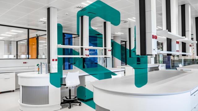 Hiblab Solutions: innovación y crecimiento en el corazón de Euskadi