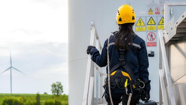 Blackstone sirve de precedente para dificultar la instalación de otros 7 parques eólicos en Bizkaia
