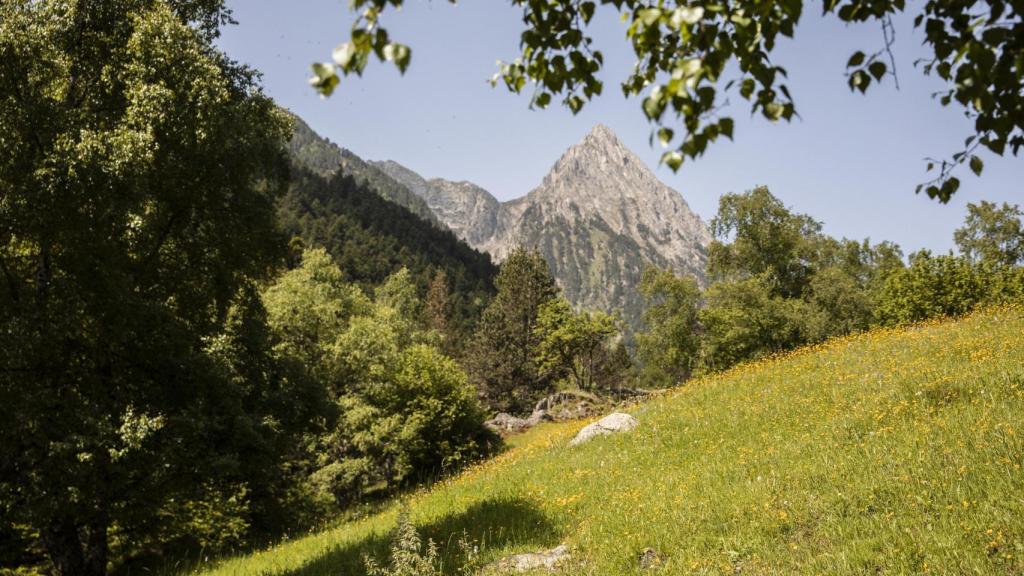 Paisaje de montaña.