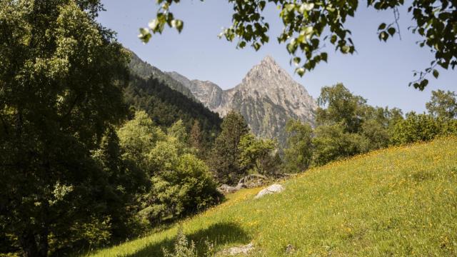 Paisaje de montaña.