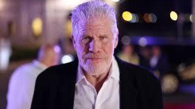 El actor Ron Perlman.