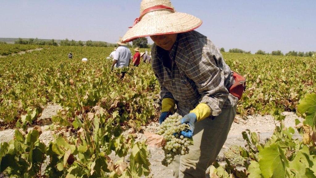 Agricultora se protege del sol con un sombrero /EFE