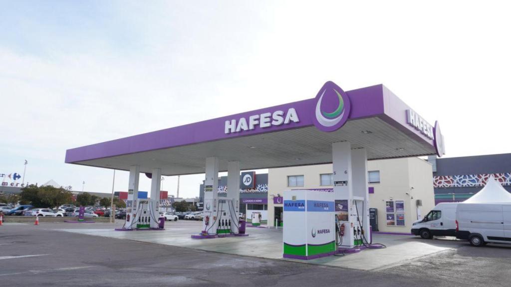 Hafesa