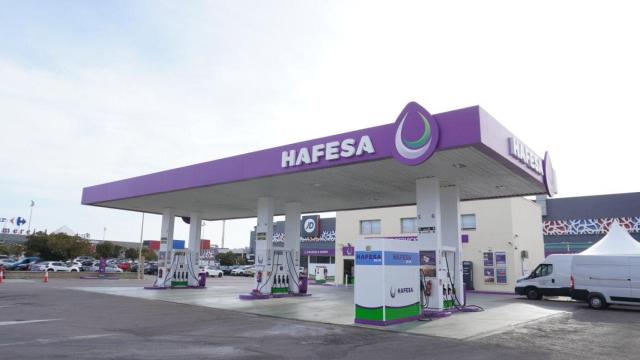Hafesa