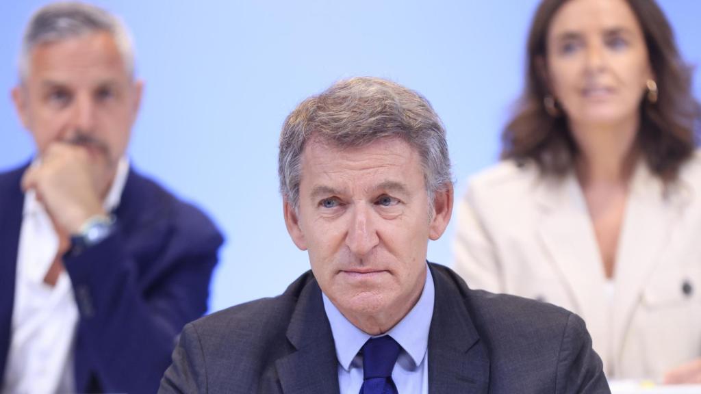El líder del PP, Alberto Núñez Feijóo