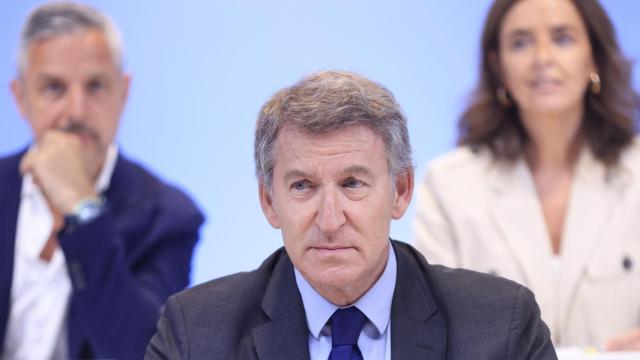 El líder del PP, Alberto Núñez Feijóo