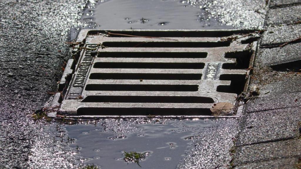 La acumulación de agua estancada fomenta la presencia del mosquito tigre