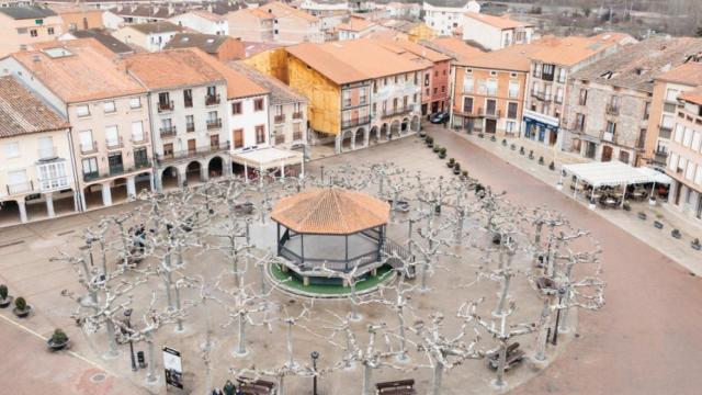 Belorado