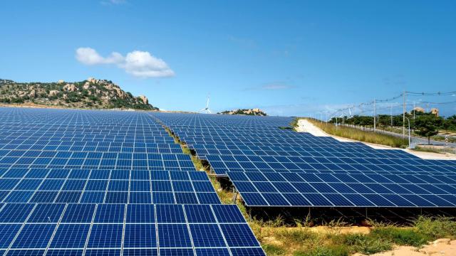 El Gobierno vasco da luz verde a la planta fotovoltaica Beitia en Ribera Baja
