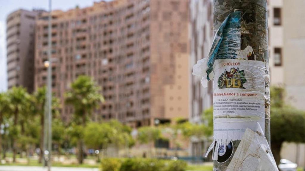 Cada vez son más los propietarios que deciden poner su vivienda en alquiler como piso compartido