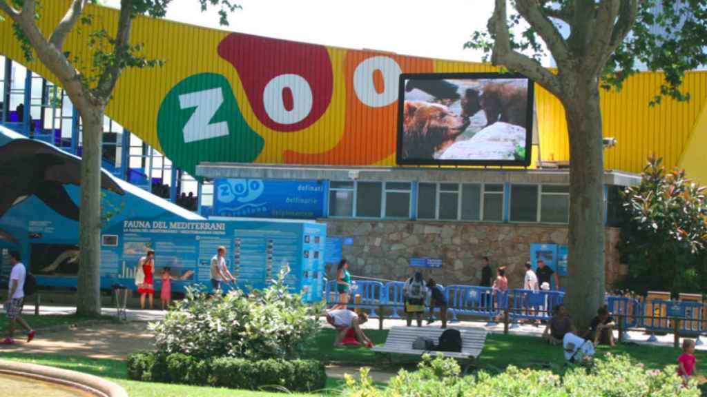 El precio del Zoo subirá en 2018 tras tres años congelado