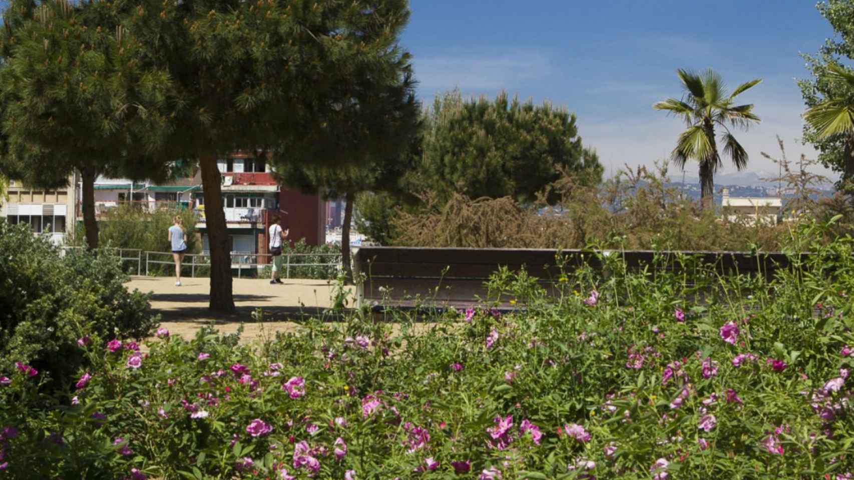 Parque de la Primavera / AJUNTAMENT DE BARCELONA