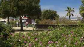 Parque de la Primavera / AJUNTAMENT DE BARCELONA