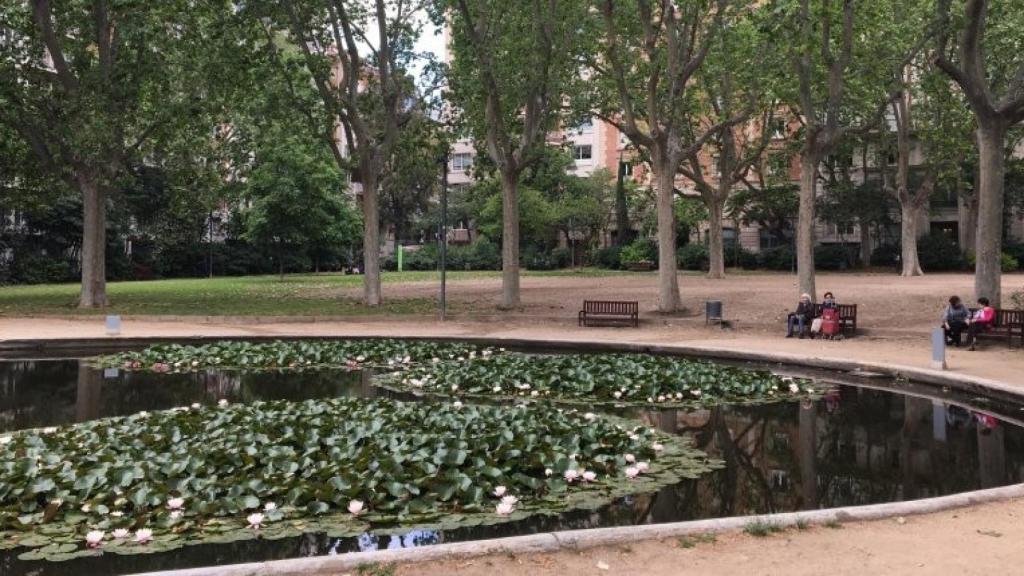 L'estany del Turó Park en una imatge d'arxiu