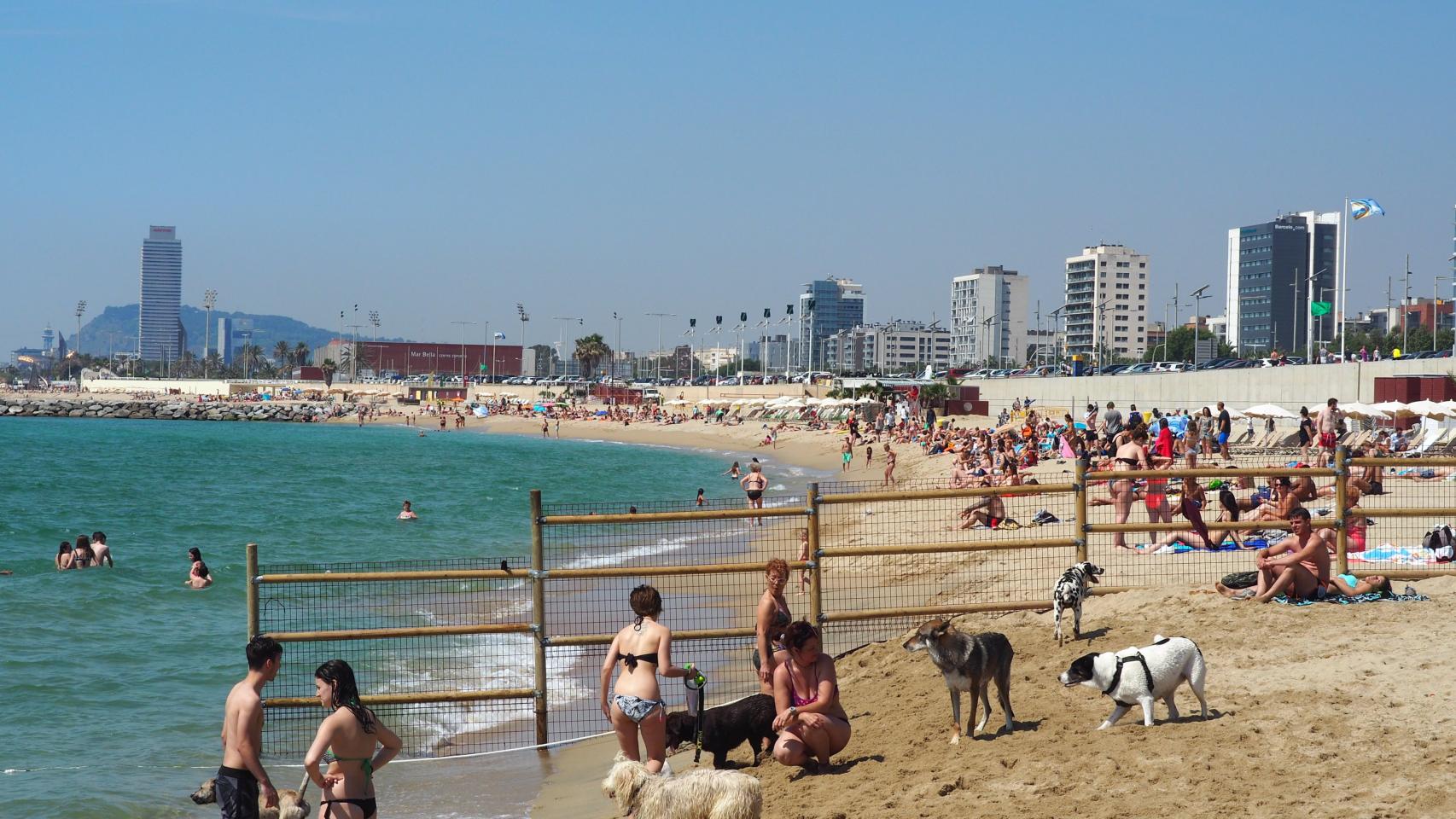 Bañistas denuncian el mal estado de la playa de Llevant de Barcelona: “Está llena de socavones”