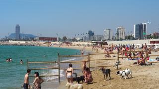 Bañistas denuncian el mal estado de la playa de Llevant de Barcelona: “Está llena de socavones”
