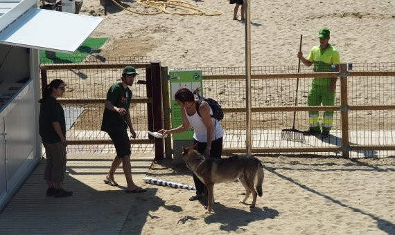 Control de acceso en la playa de perros / AM