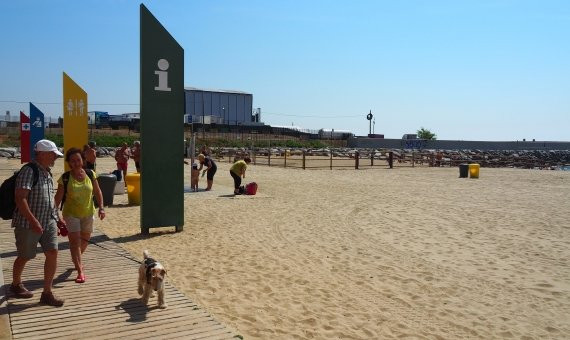 La pasarela para llegar a la playa de perros / AM