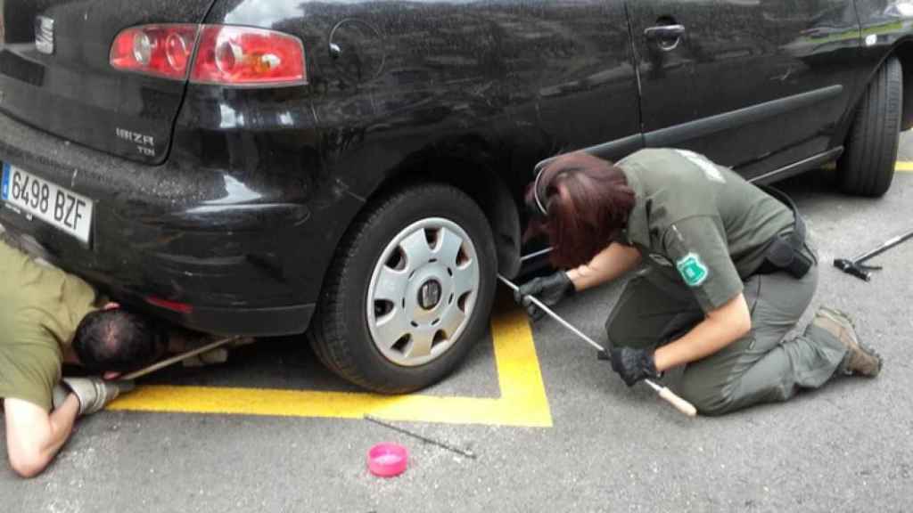 Los agentes rurales tratan de sacar la pitón de los bajos del coche / @AGENTSRURALSCAT