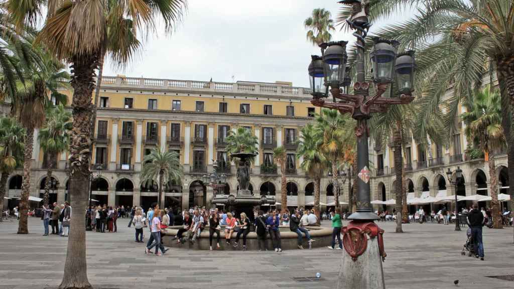 En la Plaza Reial abundan las palmeras