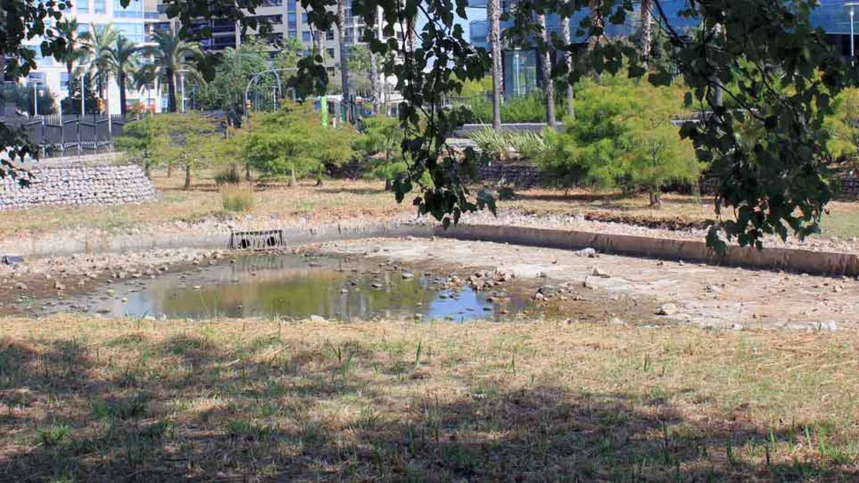 Una de las lagunas del Parque Diagonal Mar, completamente seca y en un estado lamentable. / CR