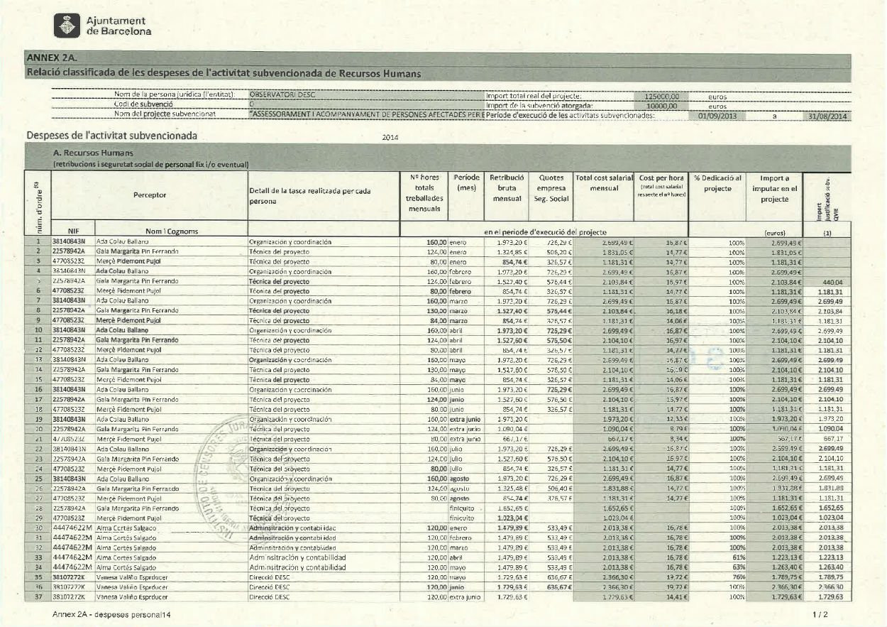 Informe Desc PAH PAG 11