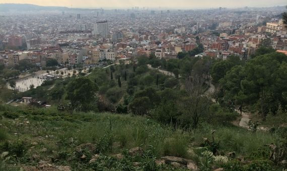 Escaleras del Hoyo al Turó de la Rovira / AROA ORTEGA