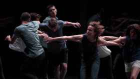 'Auguri' del Ballet du Nord en el Mercat de les Flors