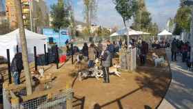 Sant Martí tendrá un parque para perros similar al de Nou Barris / Ayuntamiento Barcelona