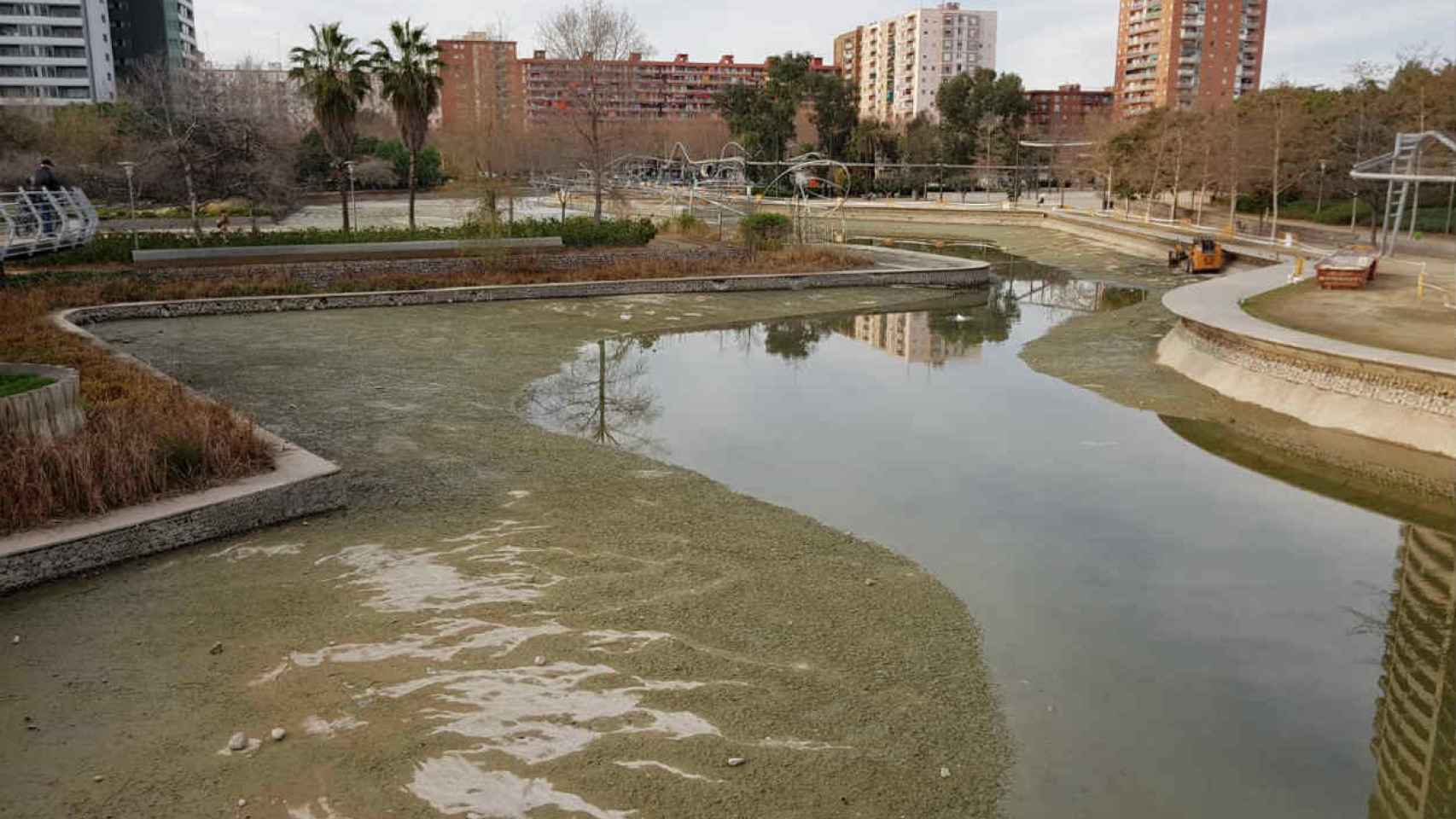 Los vecinos denuncian la muerte de ánades en el Parque de Diagonal Mar / R. RAMOS