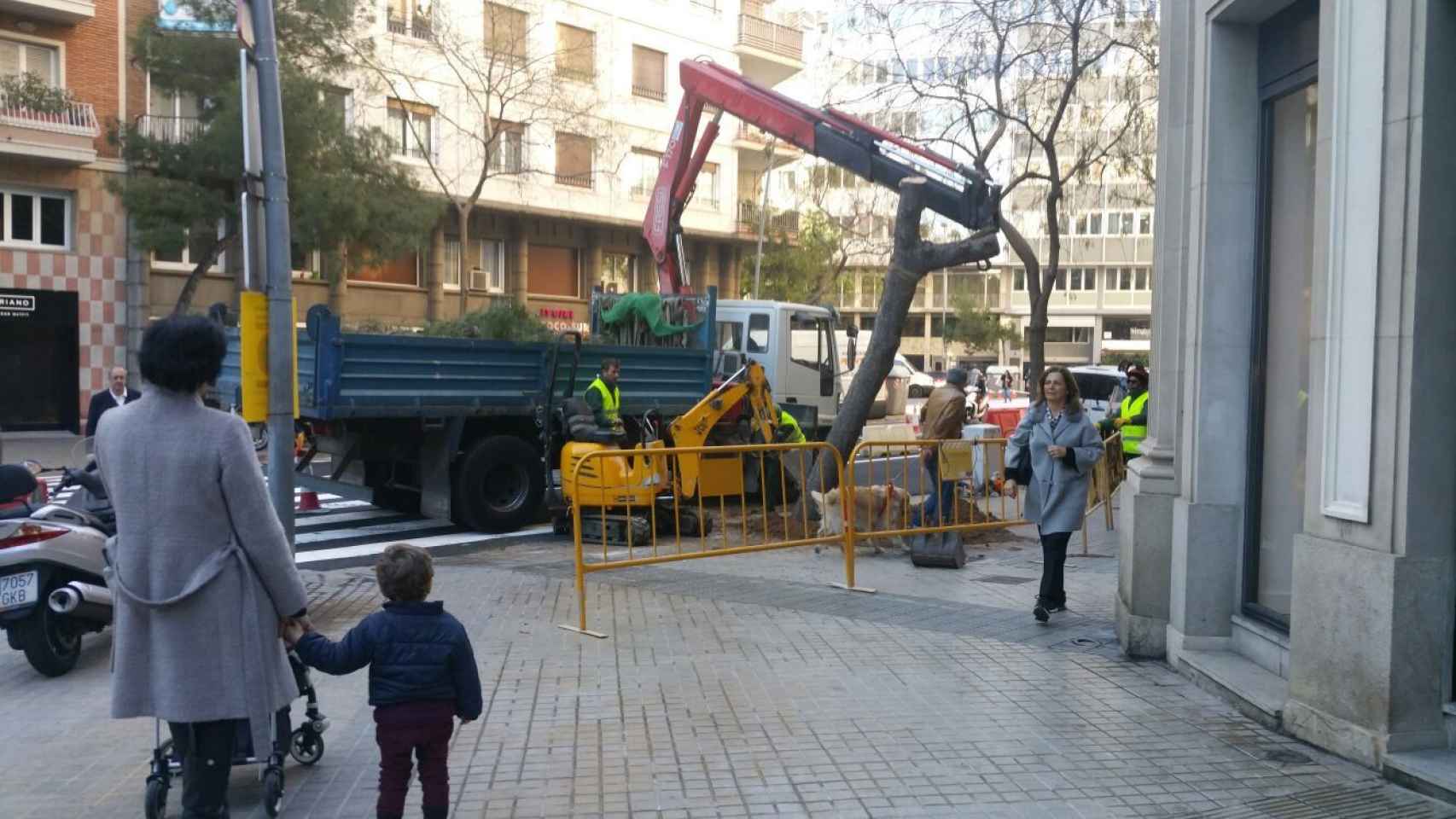 Imagen de la retirada con una grúa del árbol dañado en la confluencia de la calle Bori Fontestà con Pérez Cabrero / B.C.