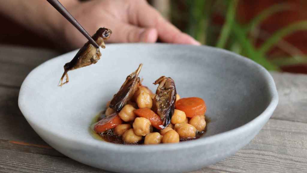 Estofado de garbanzos con grillos mole