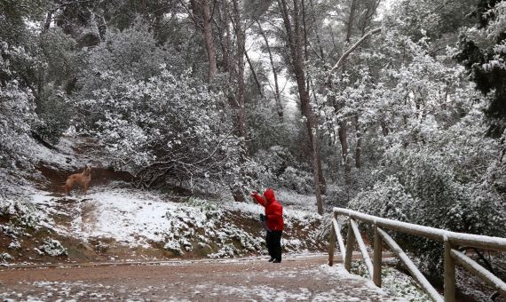 El parque del Guinardó ha amanecido este miércoles nevado / ÁLVARO VENTURA