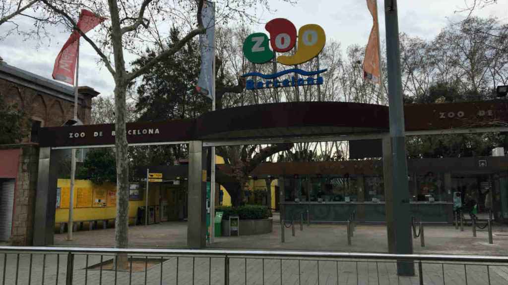 El Zoo de Barcelona quiere dar un nuevo rumbo a sus instalaciones / CR