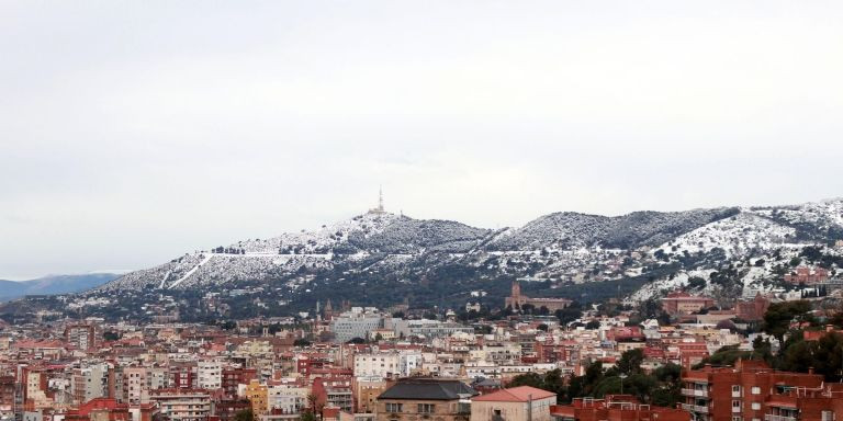 La sierra de Collserola, nevada en una ocasión anterior/ HUGO FERNÁNDEZ