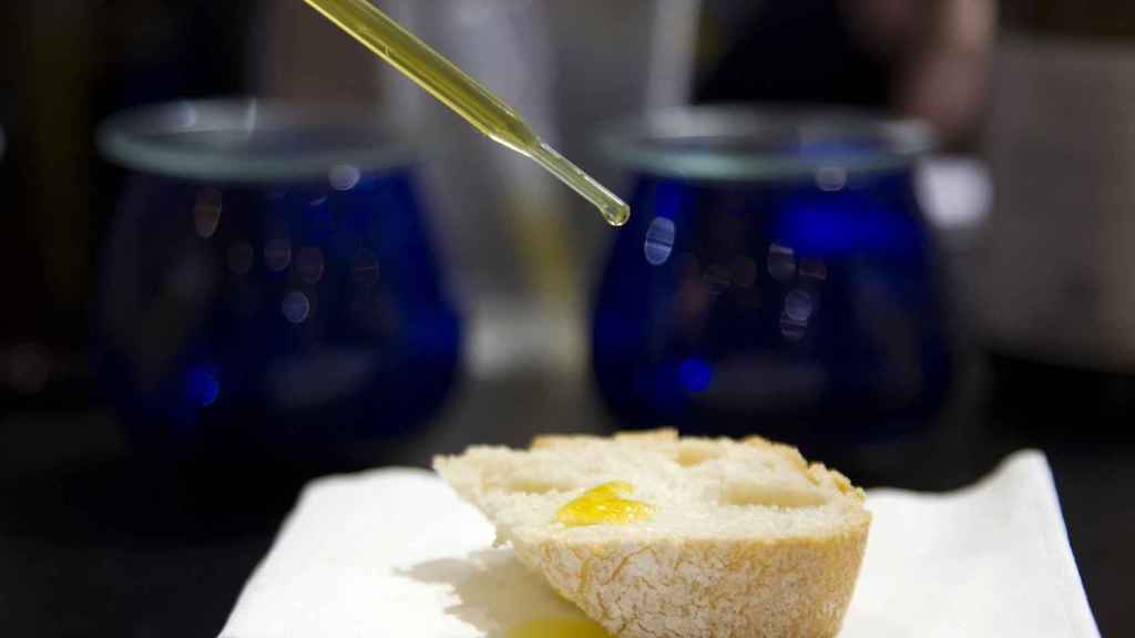 Degustación de aceite en Alimentaria / HUGO FERNÁNDEZ