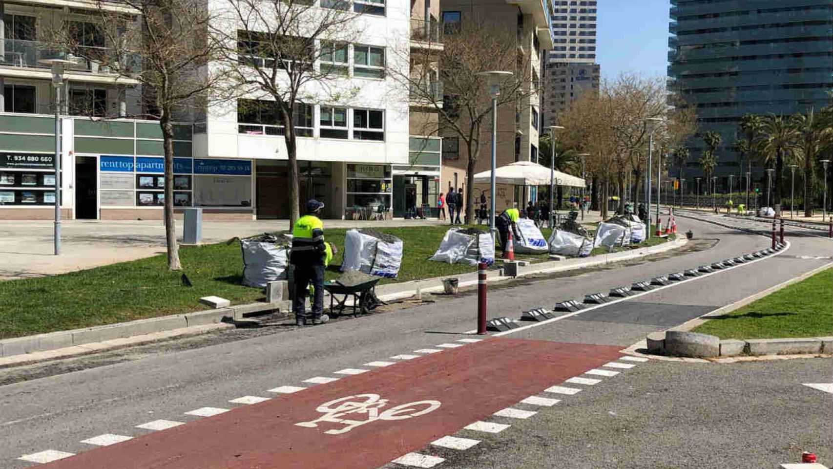 La posible sustitución de las farolas por la construcción de un carril bici en Taulat indigna a los vecinos