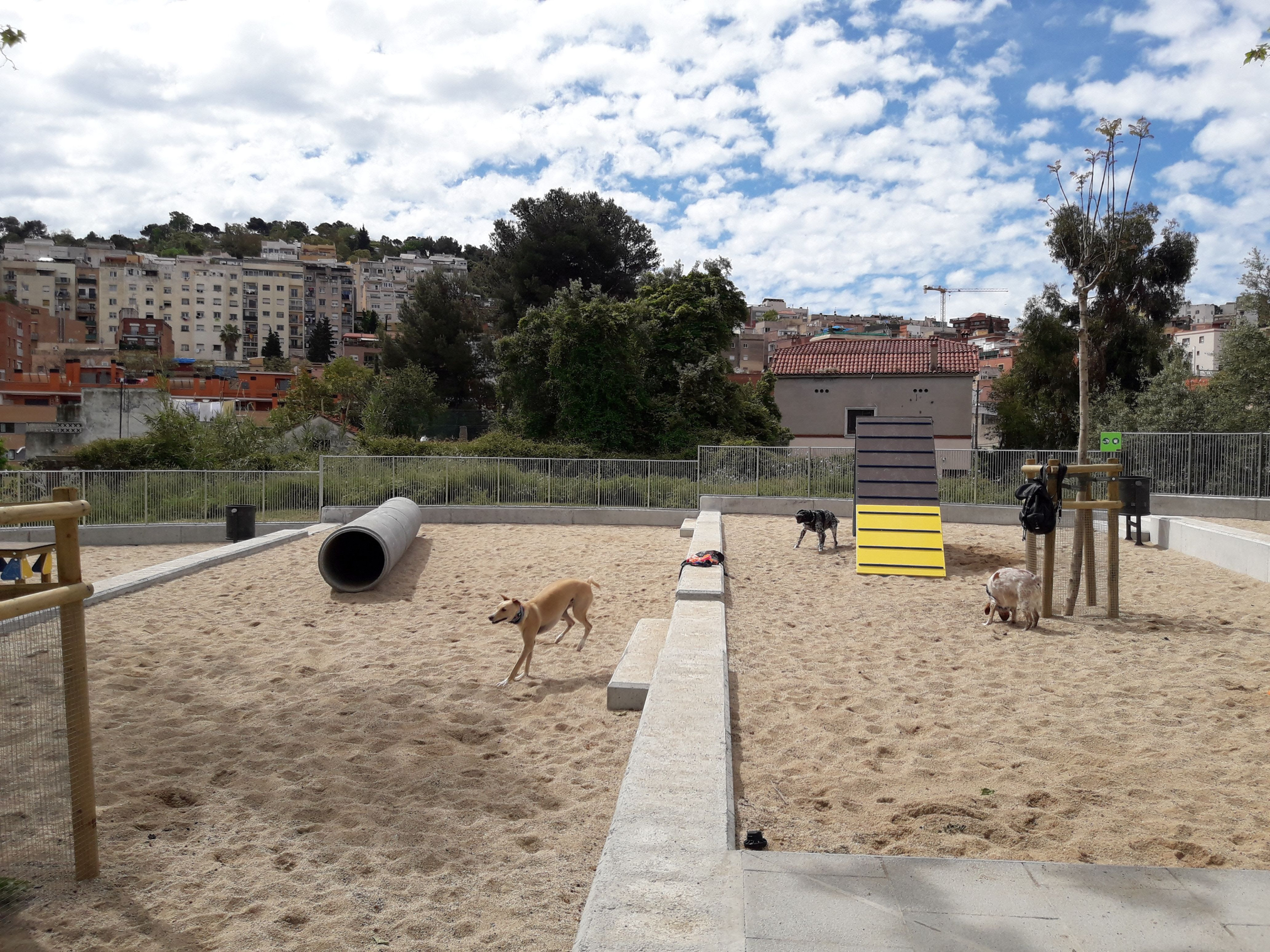 Un área para perros en el distrito Horta-Guinardó / AYUNTAMIENTO