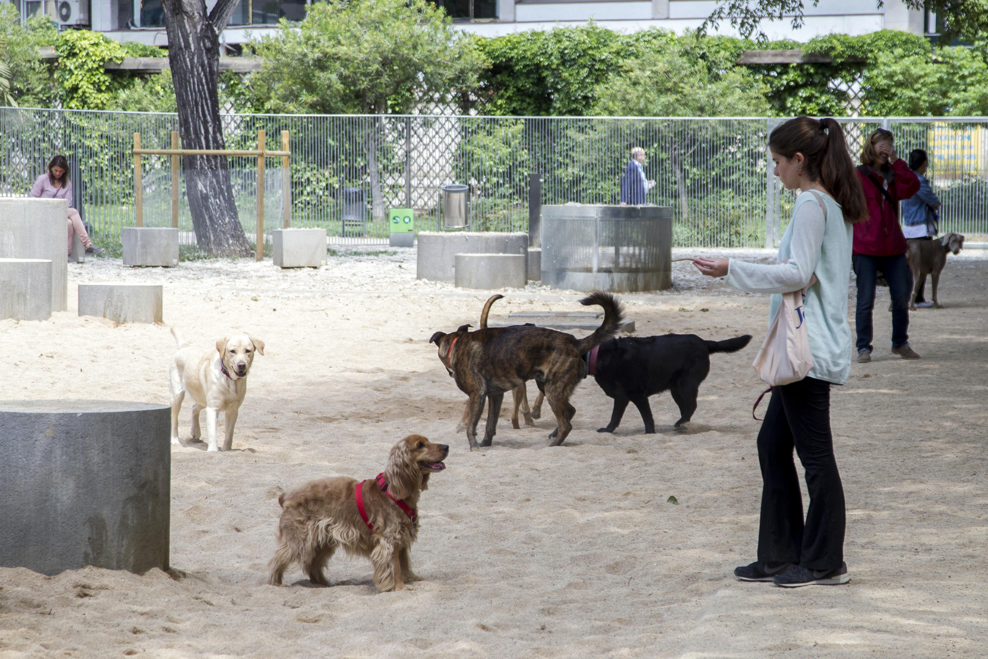 Vecinos con sus perros en un pipicán de Barcelona / HUGO FERNÁNDEZ