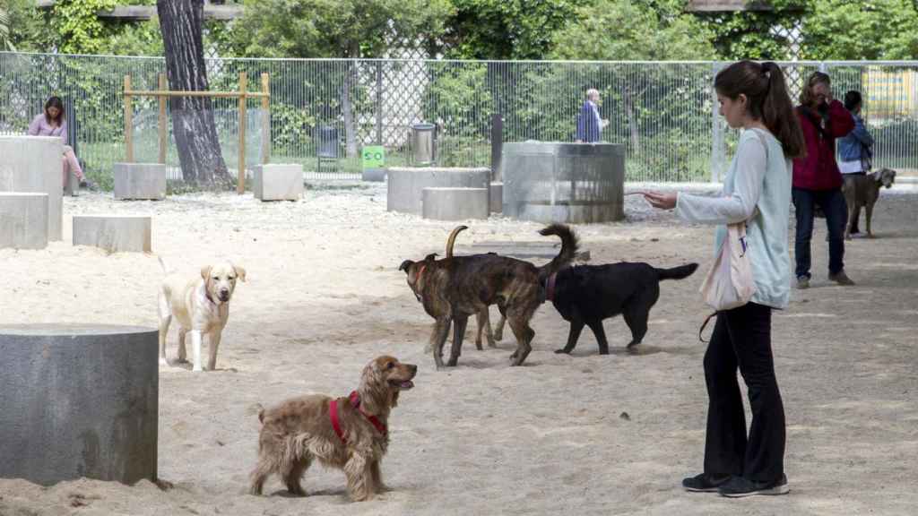 Vecinos con sus perros en un pipicán de Barcelona