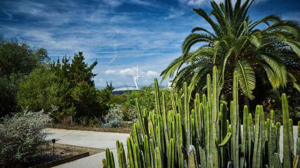 Jardí Botànic de Montjuïc / TURISME BARCELONA