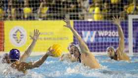 El CN Atlètic-Barceloneta sigue siendo el rey del waterpolo español y sus jugadores, claves para el Europeo de este verano en la Picornell / WP2018