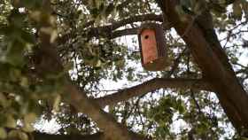 La empresa instala nidos para la protección de las aves / Aigües de Barcelona