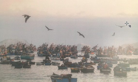 Puerto de Chimbote en la exposición de Bruce Timaná / A.O. 